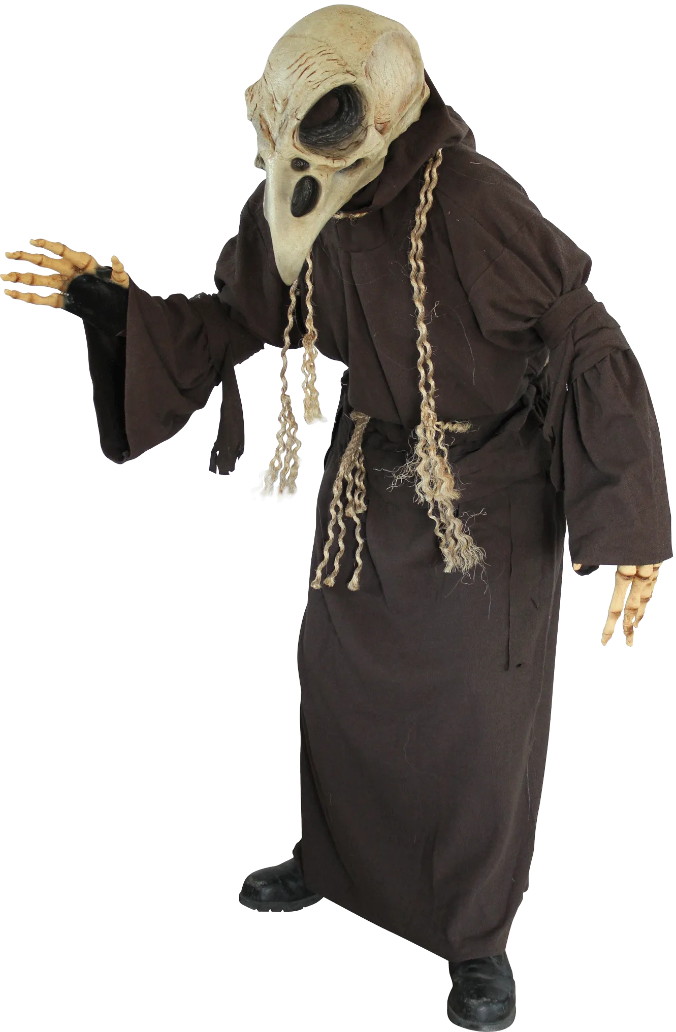 Crow Costume