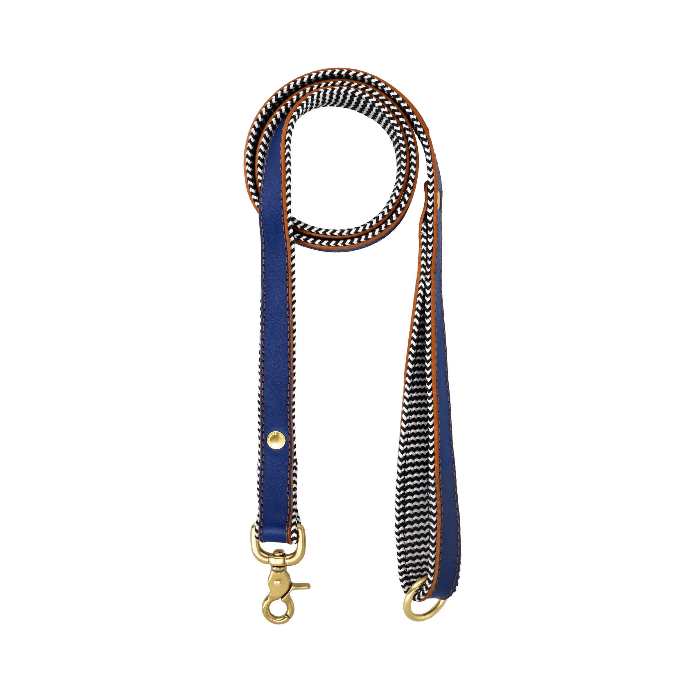 Everyday Leather Dog Leash | Blue Snoop