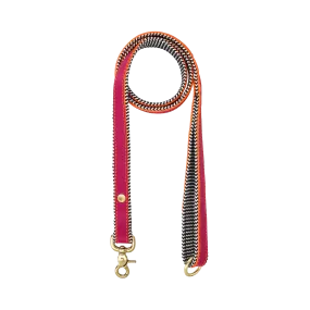 Everyday Leather Dog Leash | Pink Lizzo