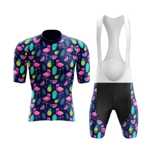 Flamingo New Aero Cycling Kit (V3)