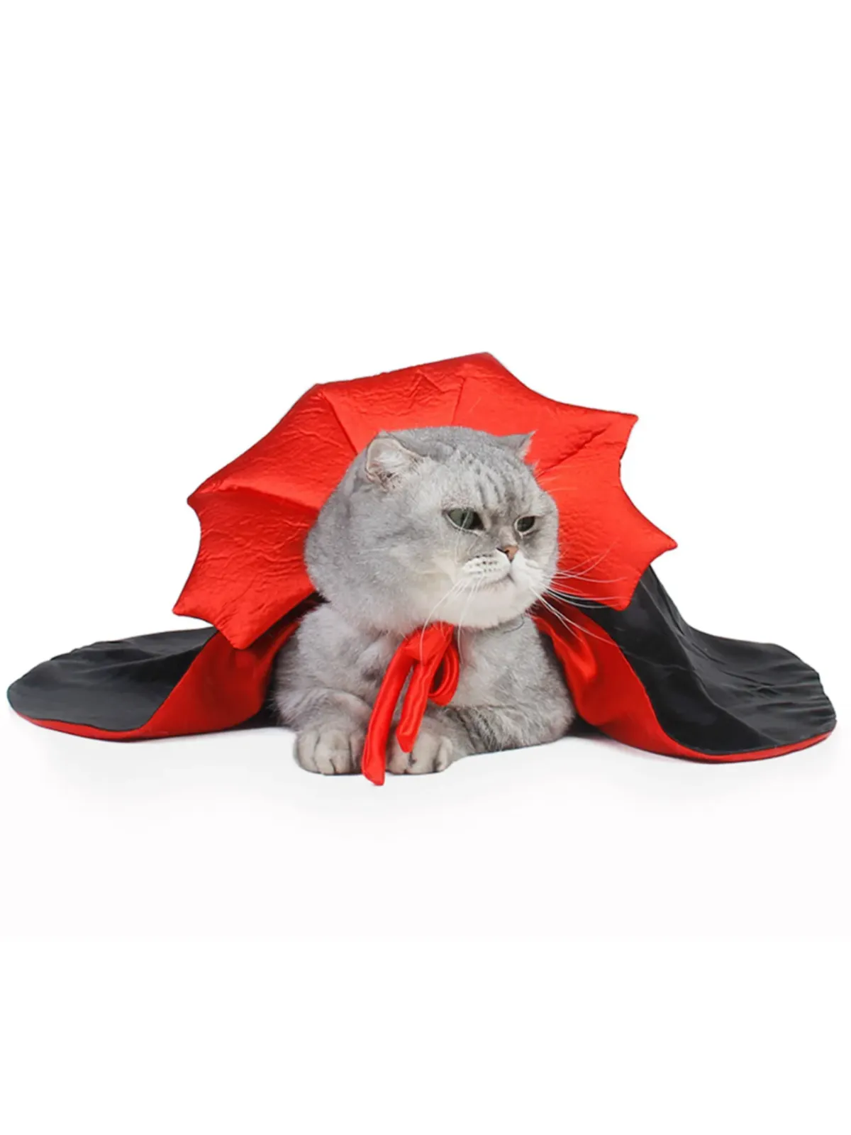 Halloween Vampire Cloak for Small Dogs and Cats