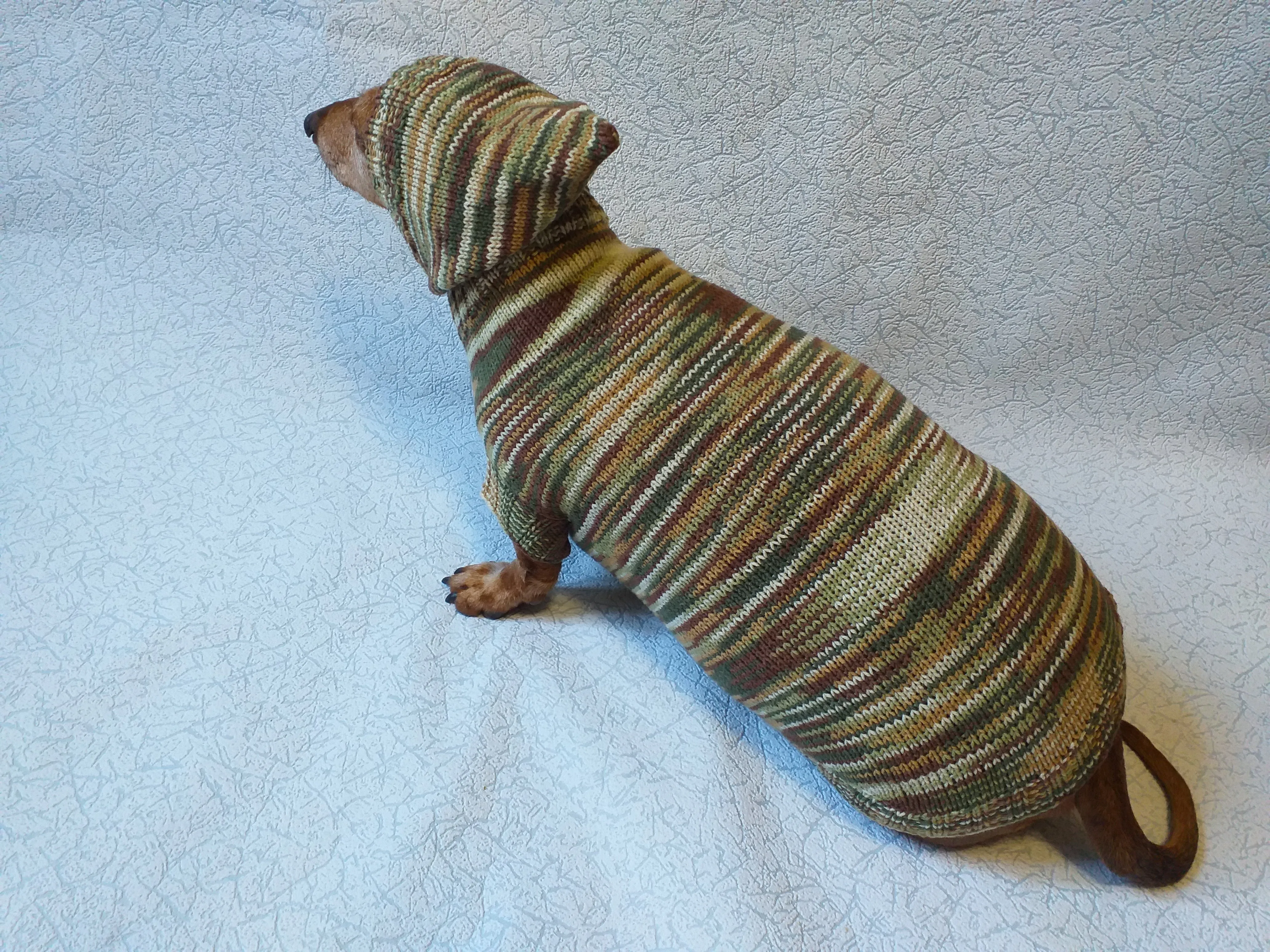 Military hooded sweater for dachshund or small dog, camouflage hoodie for dachshund