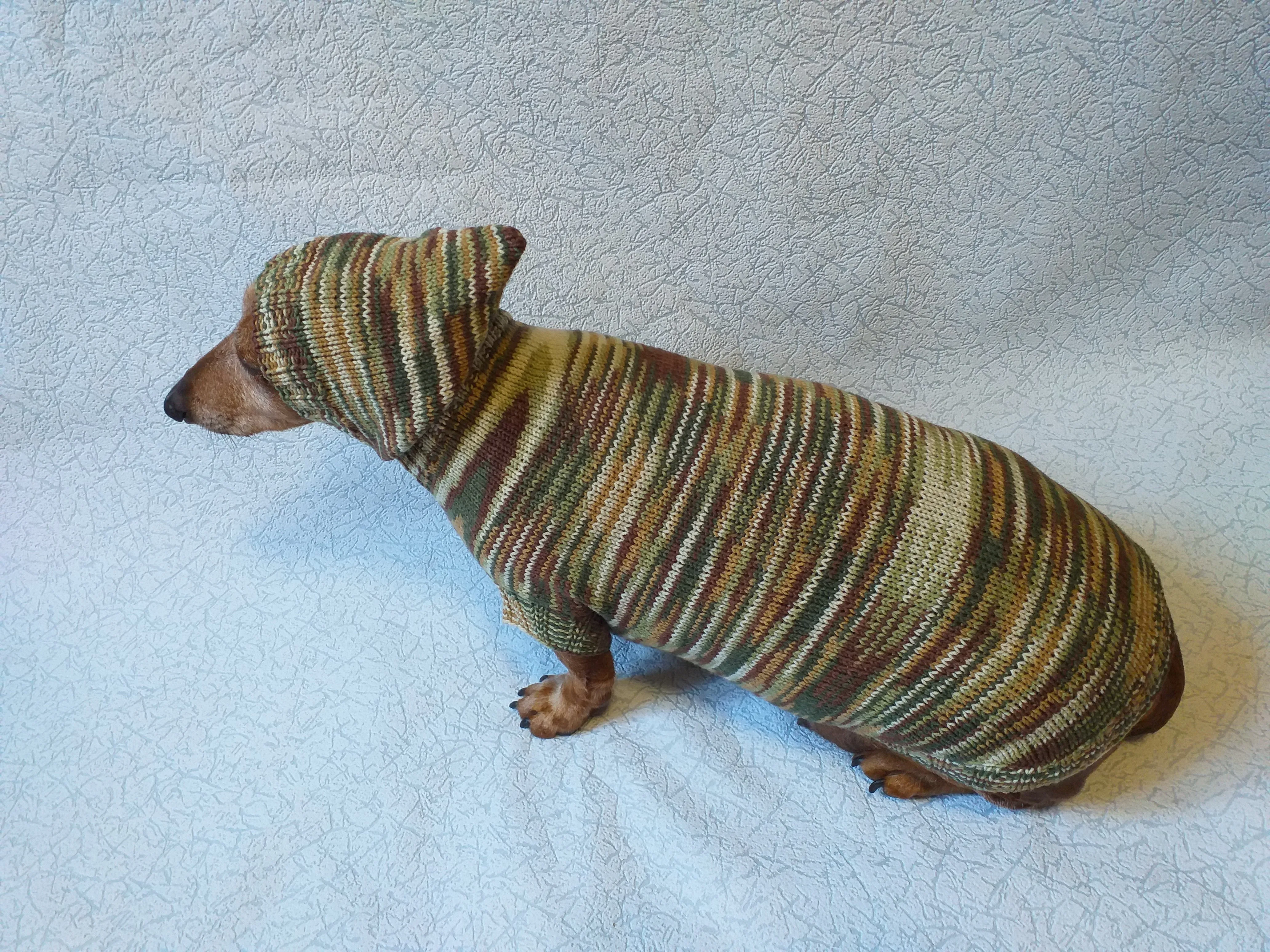 Military hooded sweater for dachshund or small dog, camouflage hoodie for dachshund