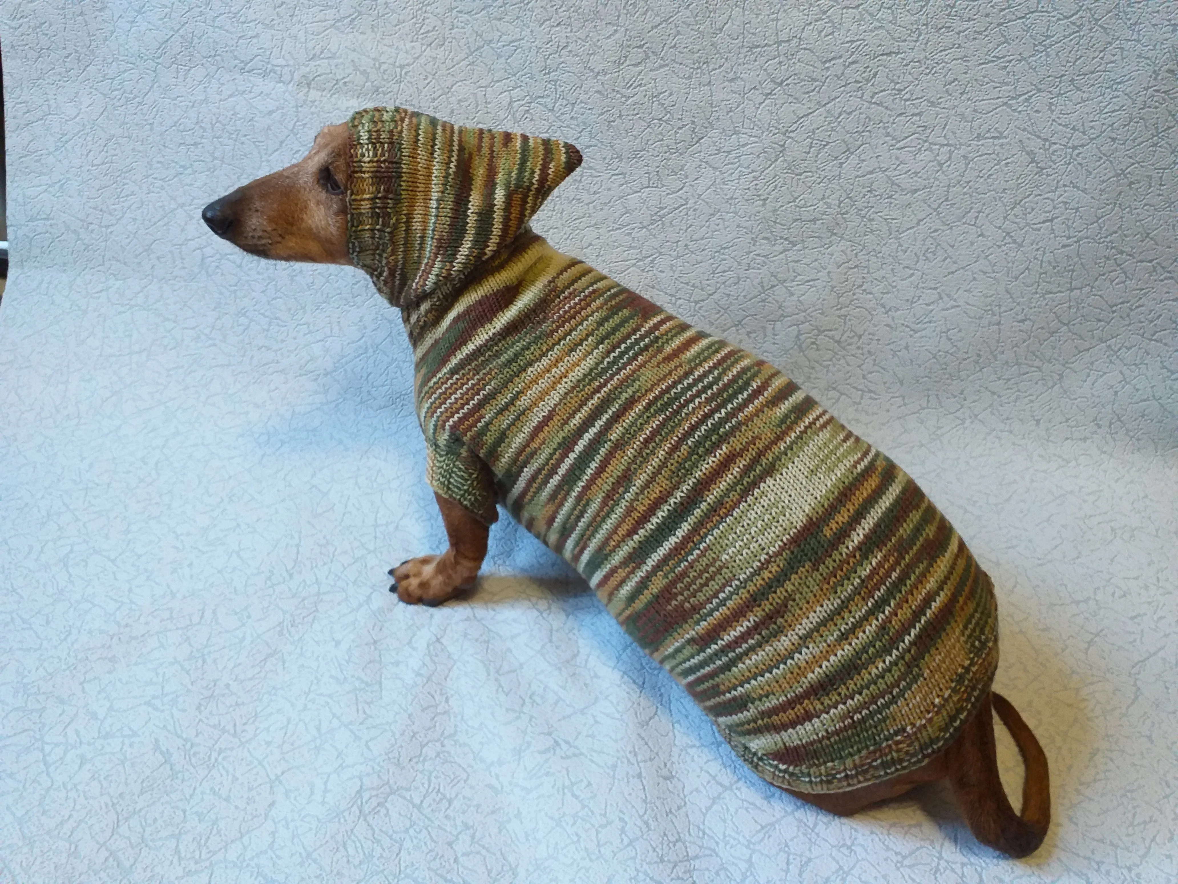 Military hooded sweater for dachshund or small dog, camouflage hoodie for dachshund