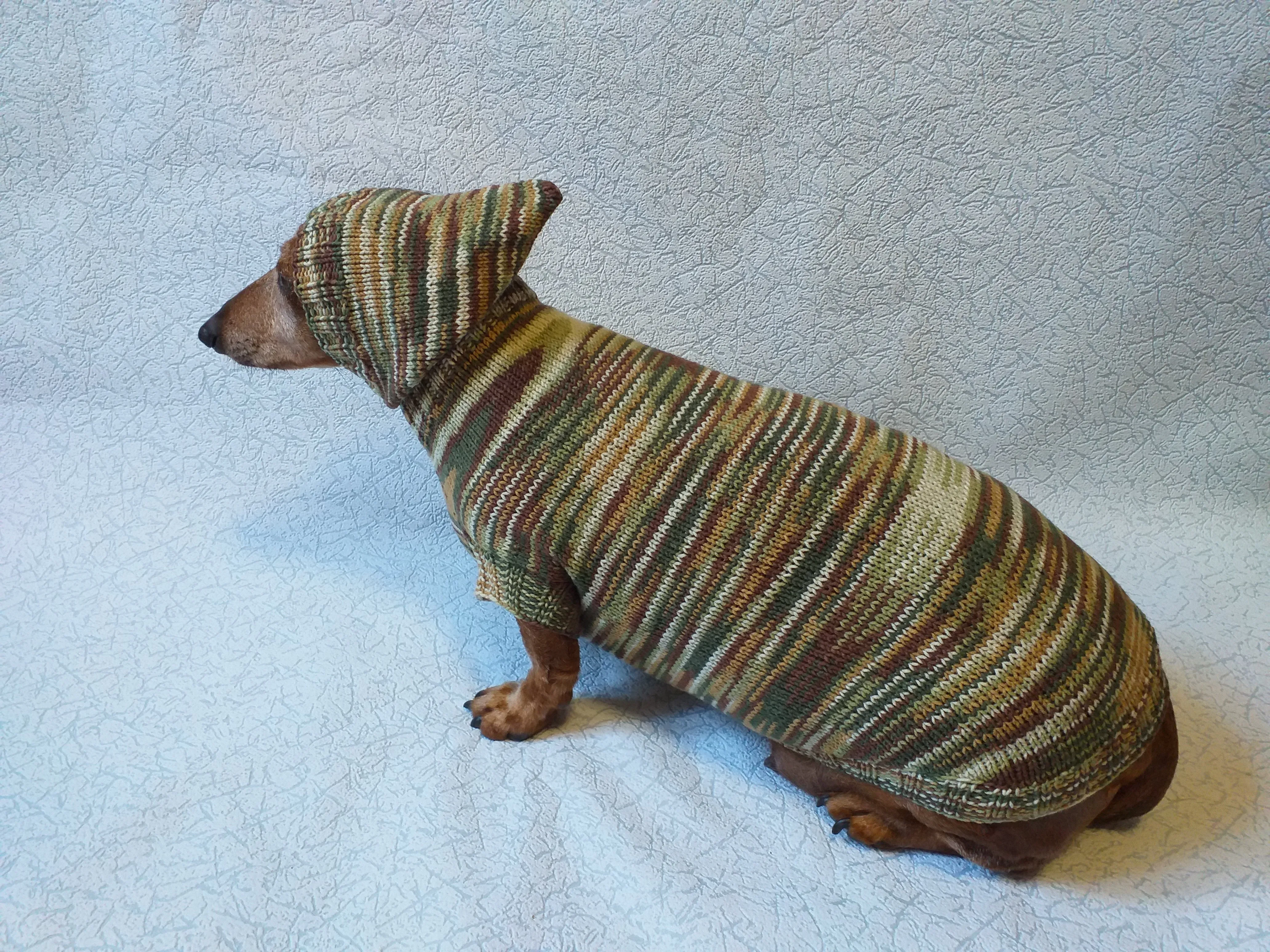 Military hooded sweater for dachshund or small dog, camouflage hoodie for dachshund